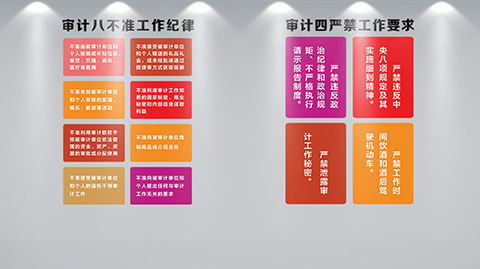审计局党建文化设计案例四严禁八不准