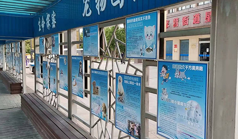 星光社区党建长廊实景照片宠物世界 党建文化宠物世界实拍照片