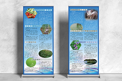 科普文化设计猪仔快长