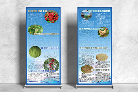 科普文化设计黄瓜变温