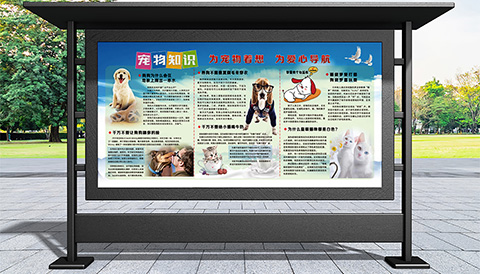 科普文化设计宠物知识