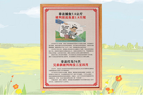 普法文化设计非法捕鱼打鸟