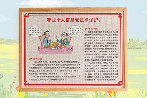 普法人化设计个人信息受保护