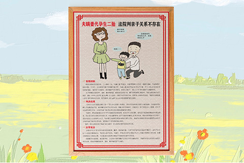 普法文化设计夫瞒意代孕二胎